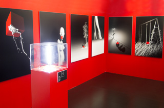 Exposition personnelle, Le Cube, 2013.
